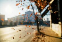 Sunrise Bristol: Discover the Magic of Morning Light Over the City