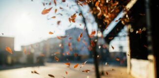 Sunrise Bristol: Discover the Magic of Morning Light Over the City