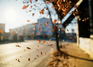 Sunrise Bristol: Discover the Magic of Morning Light Over the City