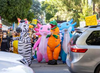 Bristol Street Kings Norton: Discover Hidden Gems and Secrets!