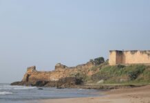 David Wilson Bristol Remains Identification: What Secrets Await?