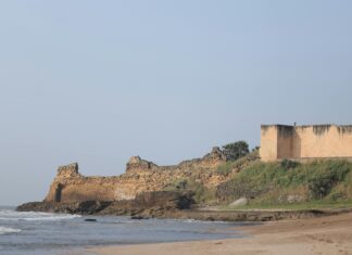 David Wilson Bristol Remains Identification: What Secrets Await?