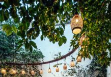 Rodney Hotel Bristol: Discover Luxury and Comfort in Style