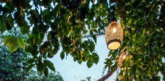 Rodney Hotel Bristol: Discover Luxury and Comfort in Style