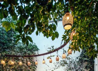 Rodney Hotel Bristol: Discover Luxury and Comfort in Style