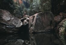 Wildlife Photographer of the Year Bristol: Discover Stunning Nature