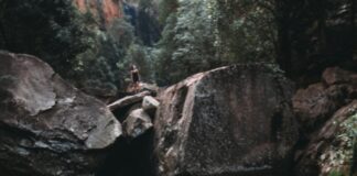 Wildlife Photographer of the Year Bristol: Discover Stunning Nature