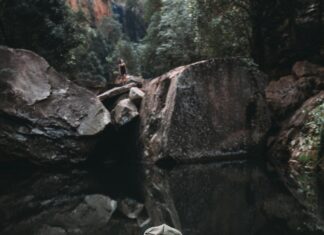 Wildlife Photographer of the Year Bristol: Discover Stunning Nature