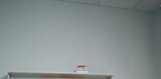 Bristol Vet Specialists: What Makes Them the Best Choice for Pets?