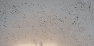 Nightingale Practice Bristol: Discover Exceptional Healthcare Options