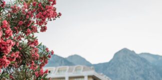 Discover The Rodney Hotel Bristol: Your Perfect Getaway Awaits