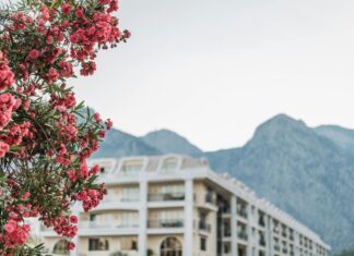 Discover The Rodney Hotel Bristol: Your Perfect Getaway Awaits