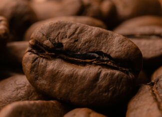 No 1 Harbourside Cafe Bristol: Discover Hidden Delights Today!