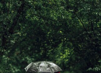 Shared Equity Bristol: Discover Your Path to Affordable Housing