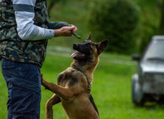 Bristol Airport Short Stay And Pick Up Car Park: Your Ultimate Guide