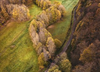 Bristol Bath Railway Path: Discover Scenic Routes Awaiting You