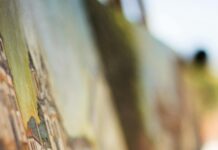 Canvas Bristol: Discover The Vibrant Art Scene You’ve Missed! Home
