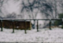 Bristol Metcheck: How Accurate Is Your Local Weather Forecast?