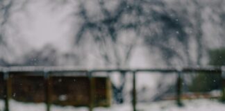 Bristol Metcheck: How Accurate Is Your Local Weather Forecast?