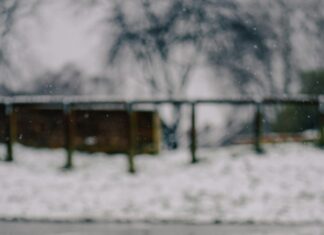 Bristol Metcheck: How Accurate Is Your Local Weather Forecast?