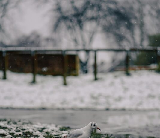 Bristol Metcheck: How Accurate Is Your Local Weather Forecast?