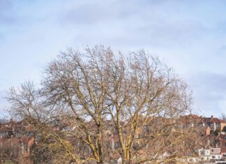 Bristol Houses for Sale: Discover Your Dream Home Today!