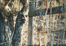 Frenchay Village Bristol: Discover Hidden Gems and Local Secrets