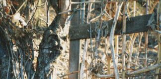 Frenchay Village Bristol: Discover Hidden Gems and Local Secrets