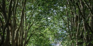 Bristol To Bath Path: Discover The Stunning Scenery Ahead