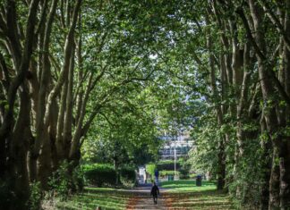 Bristol To Bath Path: Discover The Stunning Scenery Ahead