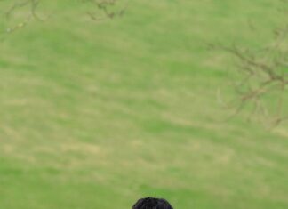 Bolton Wanderers F.C. Vs Bristol Rovers Standings: Who Will Prevail?