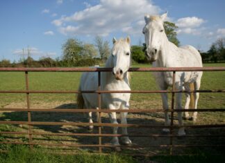 Bristol to Weston Super Mare: Discover Hidden Gems Along the Way