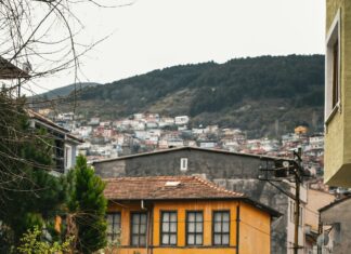 Cotham Hill Bristol: Discover Hidden Gems and Local Delights