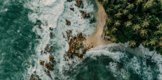 Hotel Bristol Brigstow: Discover The Hidden Gems Nearby Today!