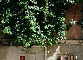 Daisy’s Bristol: Discover the Hidden Gems of This Charming City