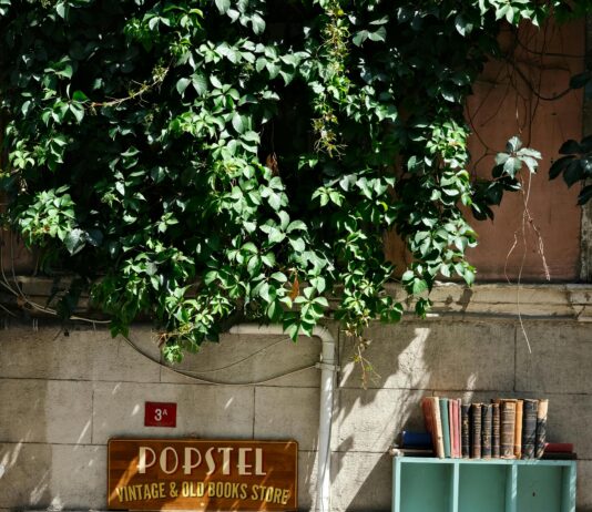 Daisy’s Bristol: Discover the Hidden Gems of This Charming City