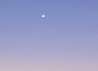 Full Moon Backpackers Hostel Bristol: Your Ultimate Travel Escape