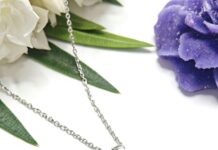 Silver Zone Bristol: Discover the Hidden Gems You Can’t Miss!