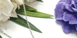 Silver Zone Bristol: Discover the Hidden Gems You Can’t Miss!