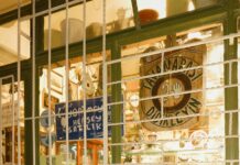 Kittens For Sale Bristol UK: Discover Your Perfect Feline Friend!