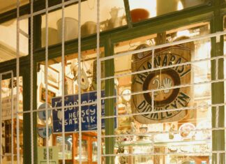 Kittens For Sale Bristol UK: Discover Your Perfect Feline Friend!