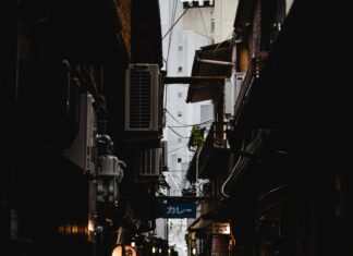 Freecycle Bristol: Discover Hidden Treasures in Your Community