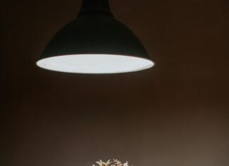 Mercure Bristol Holland House: Discover Luxurious Comfort Today