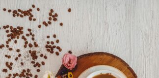 Coffee Shops Bristol: Discover the Best Brews and Cozy Vibes